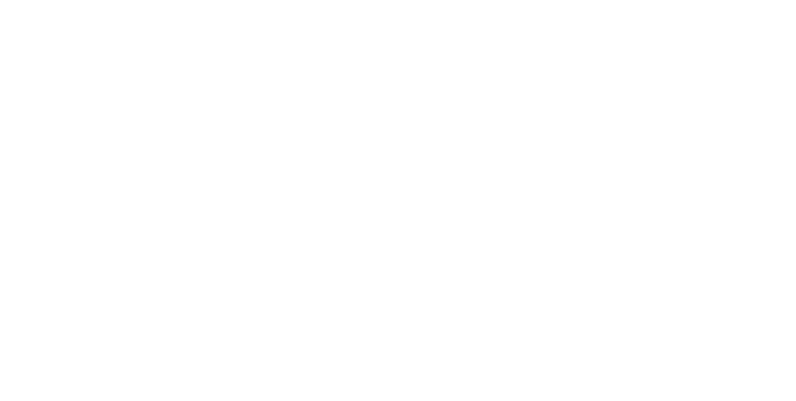 ALS — Air Land & Sea, Servicios Aduanales Internacionales